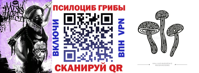 наркошоп  Дудинка  Псилоцибиновые грибы Cubensis 